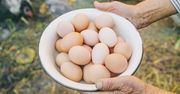 Ile jajek tygodniowo powinni jeść seniorzy? Badacze podali konkretną liczbę