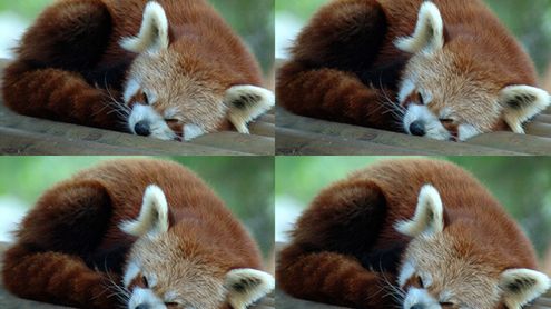 Jak synchronizować dodatki do Firefoksa między komputerami? 1