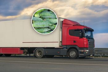 Transport z Rumunii zatrzymany. To miało trafić do sprzedaży w Polsce