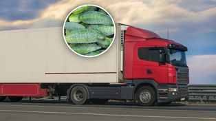 Transport z Rumunii zatrzymany. To miało trafić do sprzedaży w Polsce