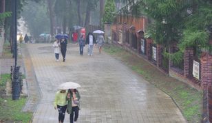 Pogoda. Sporo chmur nad Polską. Przejdą ulewy. Kiedy więcej słońca?