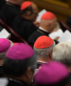 "Zabawa w chowanego". Film braci Sekielskich i wniosek do Watykanu. Dochodzenie wobec biskupa