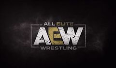 Warner TV pokaże All Elite Wrestling, walki nowej ligi wrestlingu