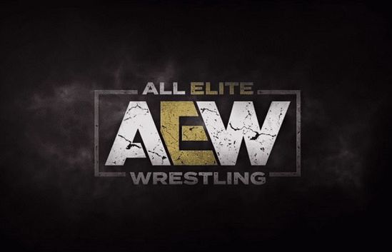 Warner TV pokaże All Elite Wrestling, walki nowej ligi wrestlingu
