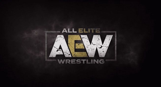 Warner TV pokaże All Elite Wrestling, walki nowej ligi wrestlingu