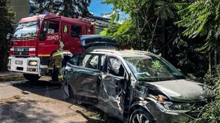 Warszawa: Uderzyli w drzewo kradzionym autem i uciekli pieszo