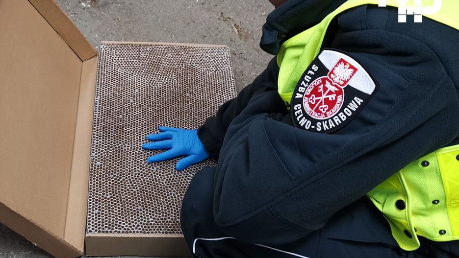 Katowice. Funkcjonariusz Śląskiej KAS przejęli ponad 1,9 mln sztuk nielegalnych papierosów.