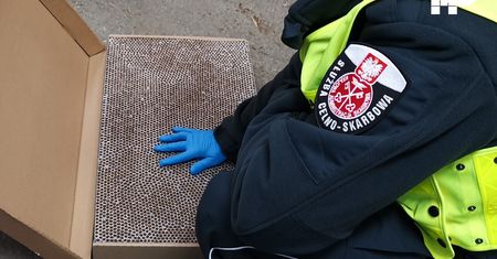 Katowice. Zatrzymali ciężarówkę do kontroli, ładunek mocno ich zaskoczył