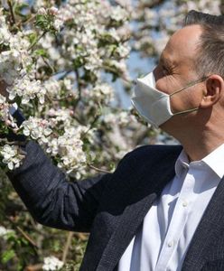 W malinowym chruśniaku, ale może być w sadzie jabłoni (Felieton)