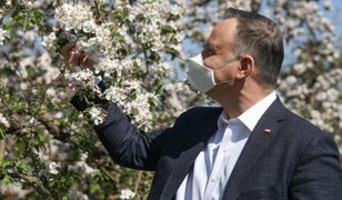 W malinowym chruśniaku, ale może być w sadzie jabłoni (Felieton)