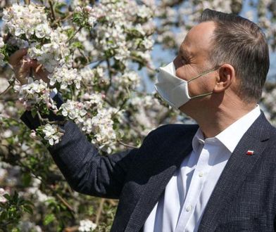 W malinowym chruśniaku, ale może być w sadzie jabłoni (Felieton)