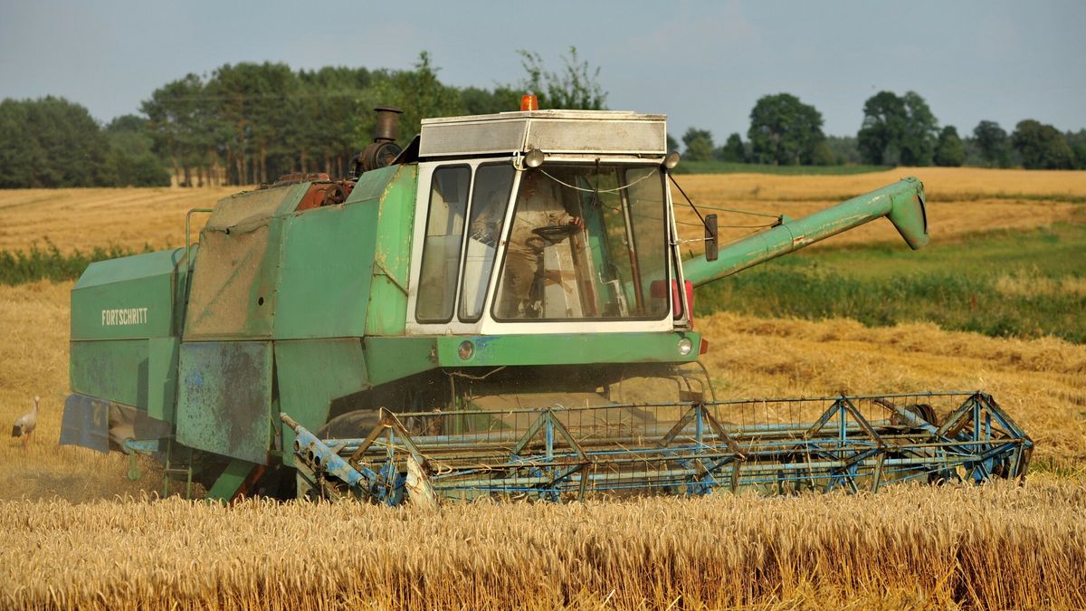 Niemcy szykują się na 2. falę upałów