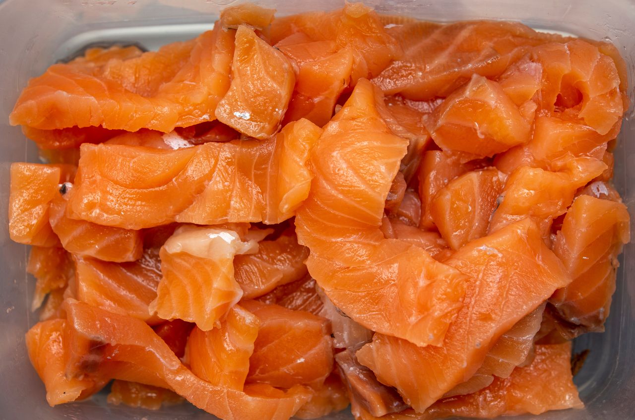 Łosoś keta jest najzdrowszy