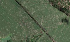 Nowe zdjęcia satelitarne z Ukrainy mówią wszystko. Porażający widok