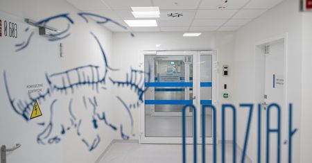 Bolała ją głowa i nogi. 6-latka zmarła po przyjęciu do szpitala