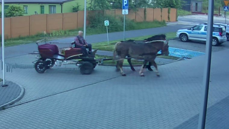 Pijany woźnica trafił na komendę dzięki koniom