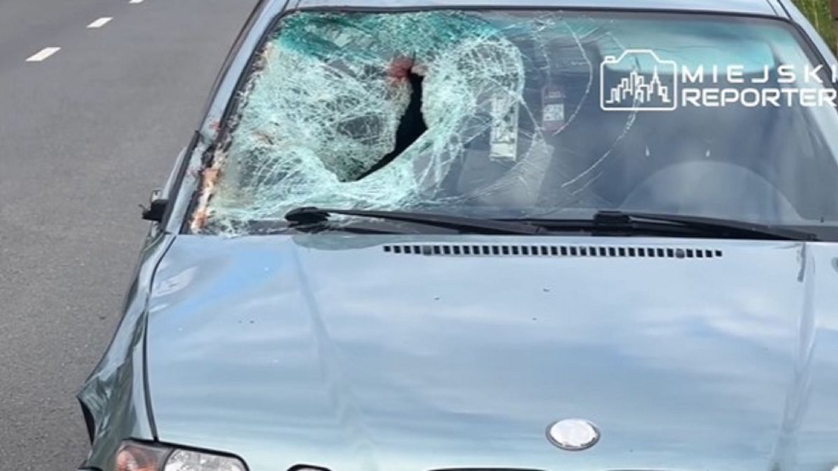 Wypadek w Borzęcinie Dużym.