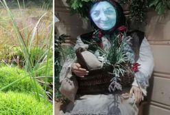 "Babka Zielarka" o wszystkim opowie. To europejski unikat przyrodniczy