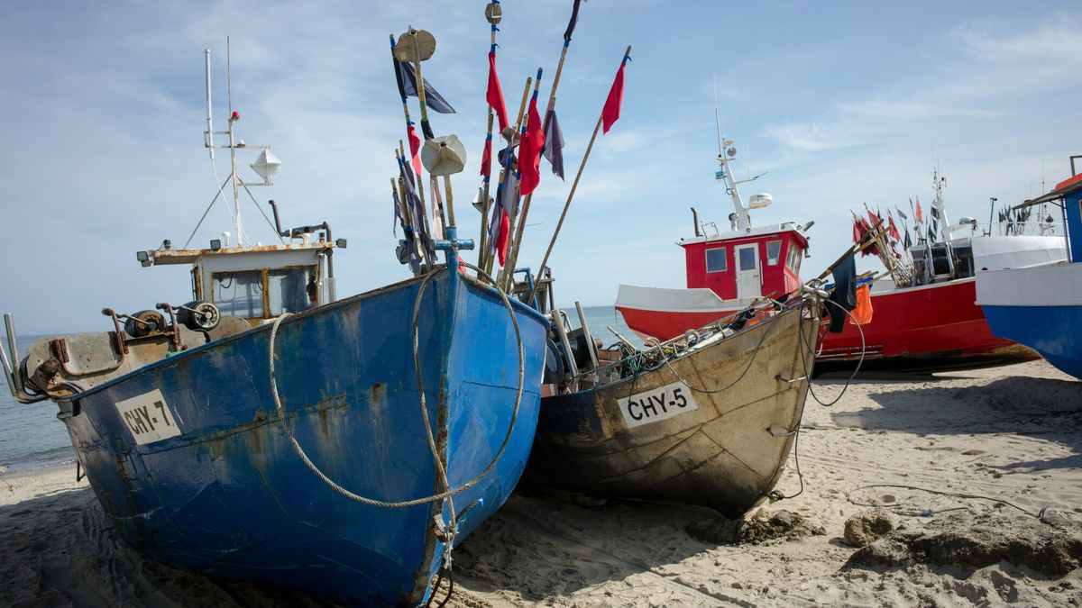 Nowe limity połowów na Bałtyku