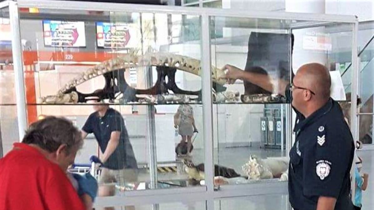 Pracownicy warszawskiego lotniska ostrzegają. Zdj. ilustracyjne 