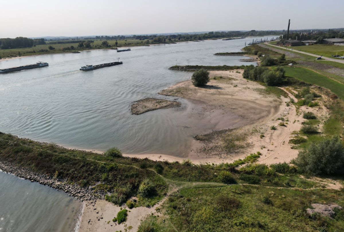 Niemcy rozpisują się o 43-letniej Polce. "Wielka operacja"