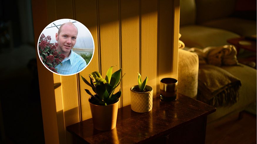 Masz w domu zaparowane szyby? Ekspert: Postaw tę roślinę