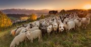 Najpiękniejsze miejsca w Poroninie i okolicy dla miłośników górskiej fotografii
