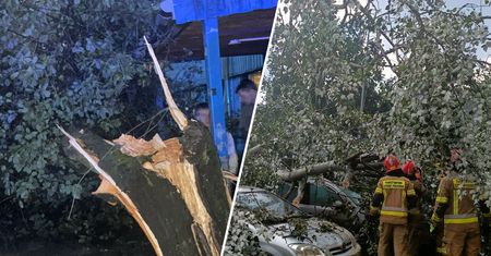 Nawałnice nad Polską. Najgorsza sytuacja w dwóch województwach
