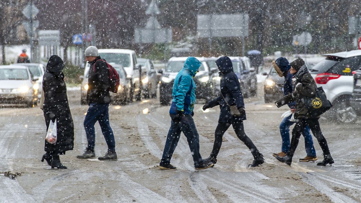 Ni? Brygida nad Polsk?
12.12.2022 Elblag - Niz Brygida nad Polska N/z opady sniegu Fot. Stanislaw Bielski/REPORTER
Stanislaw Bielski/REPORTER