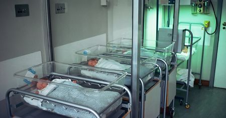In vitro dla 100 par za pieniądze ze zbiórki na proces z autorem podręcznika do HiT-u. Urodziło się 38 dzieci