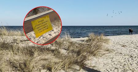 Niepokojące komunikaty w rezerwacie. "Strefa objęta zakażeniem"