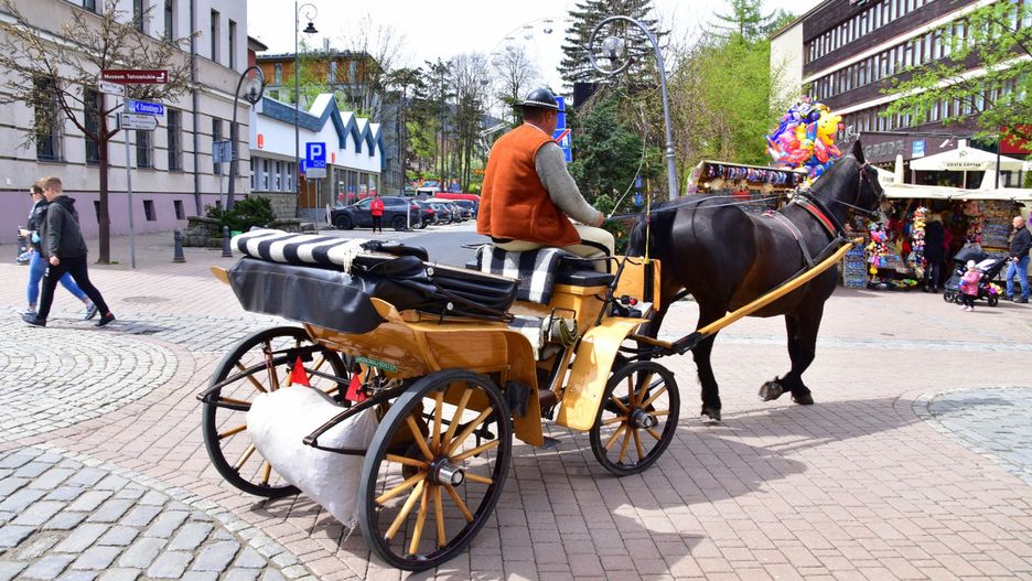 Zakopane zapowiada podwyżkę opłat za wywóz śmieci