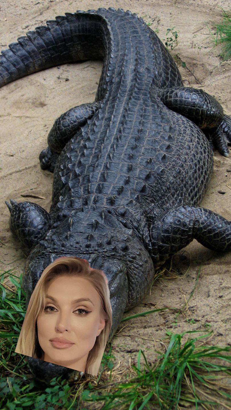 Karolina Pajączkowska odpowiada na obraźliwy komentarz