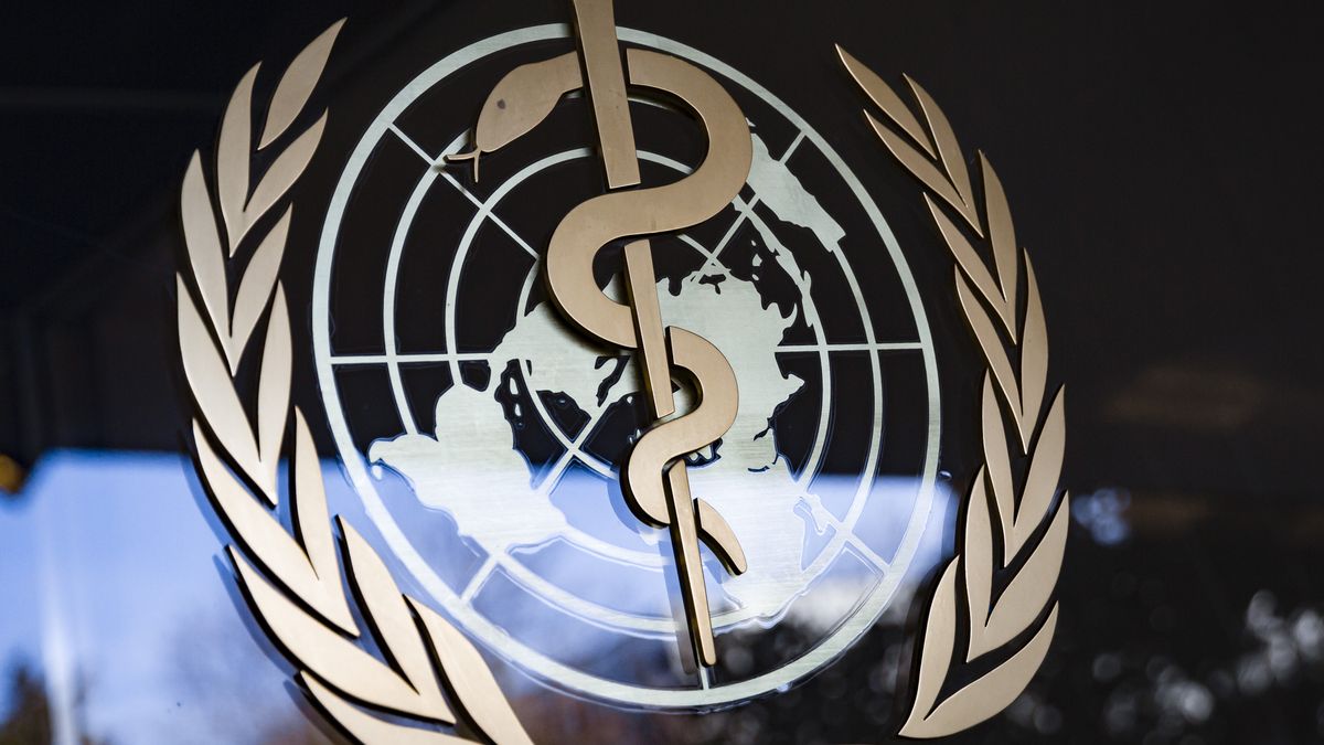 GENEVA, SWITZERLAND - FEBRUARY 24: The logo of the World Health Organization - WHO -, taken at the organization's headquarters on February 24, 2020 in Geneva, Switzerland. (Photo by Felix Zahn/Photothek via Getty Images)