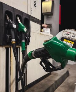 Były wiceminister usłyszy zarzuty. W tle wakacje i służbowe auto