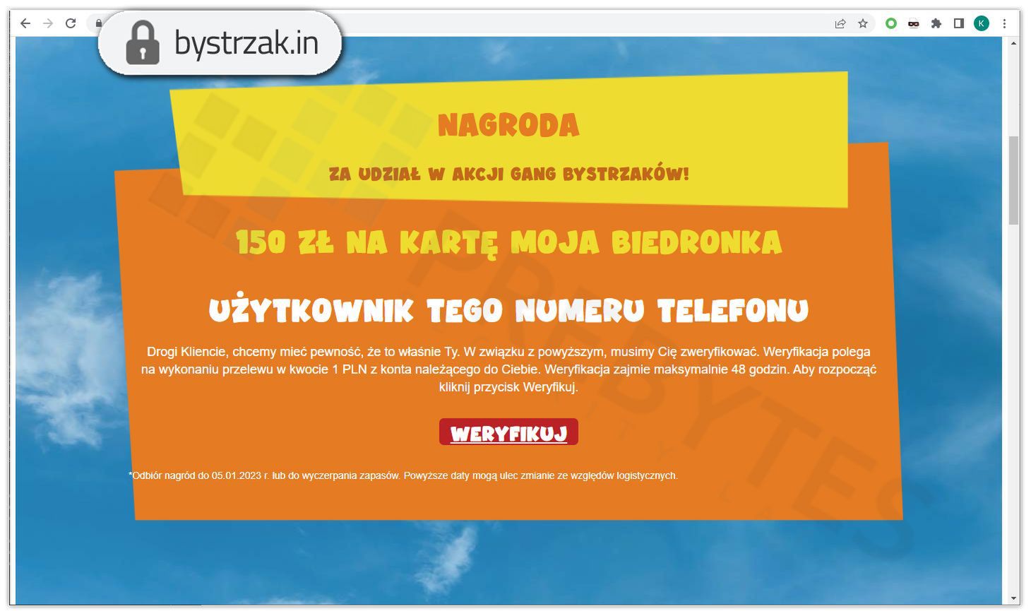 Fałszywa strona Gangu Bystrzaków Biedronki