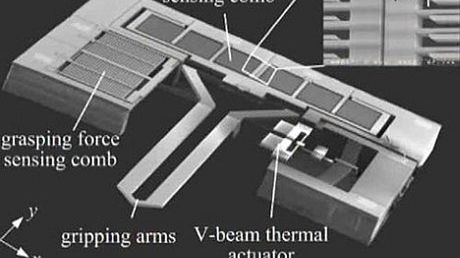 Pęseta do manipulowania komórkami 1