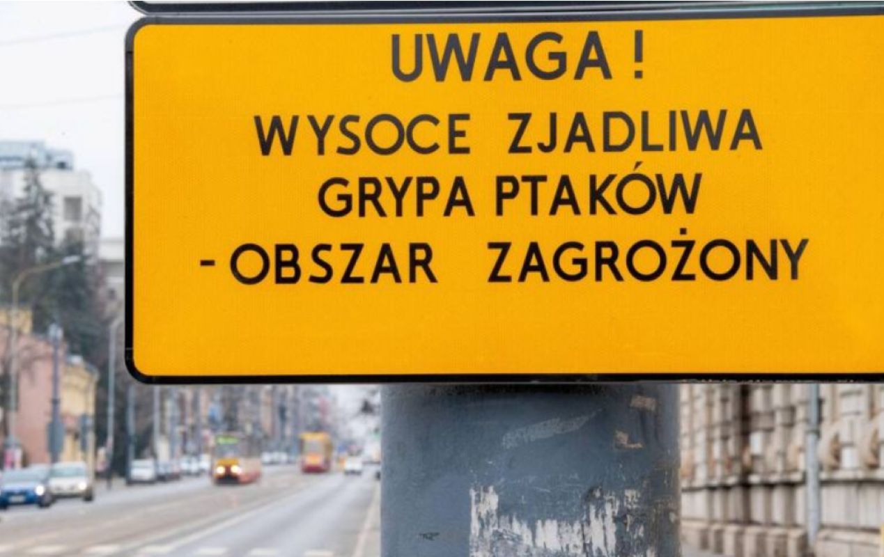 Strefa zagrożona