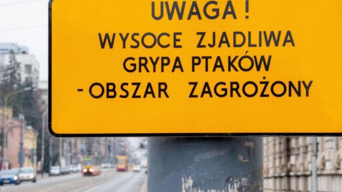 Strefa zagrożona