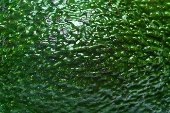 Fascynacja "zielonym złotem" nie ustaje. Jednak nie dla każdego jest ono bezpieczne