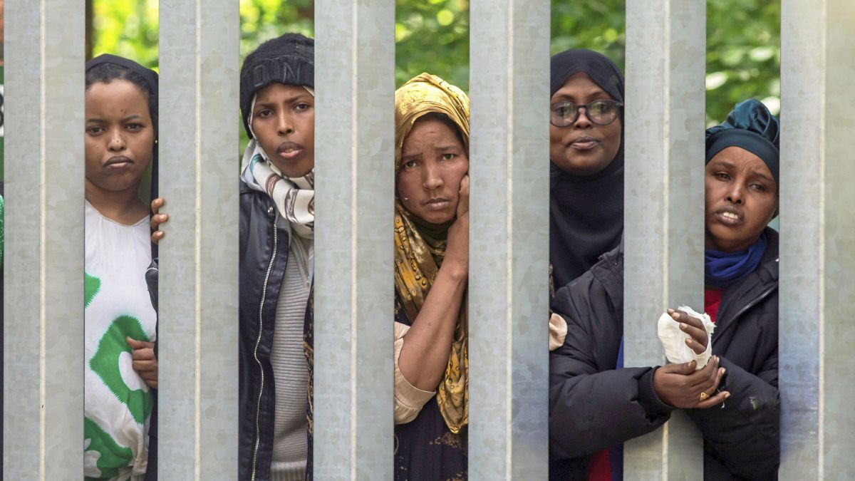 Płot graniczny na polsko - bialoruskiej granicy