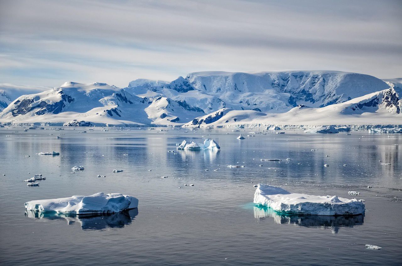 Deep-sea marvel: Giant jellyfish found beneath Antarctic ice