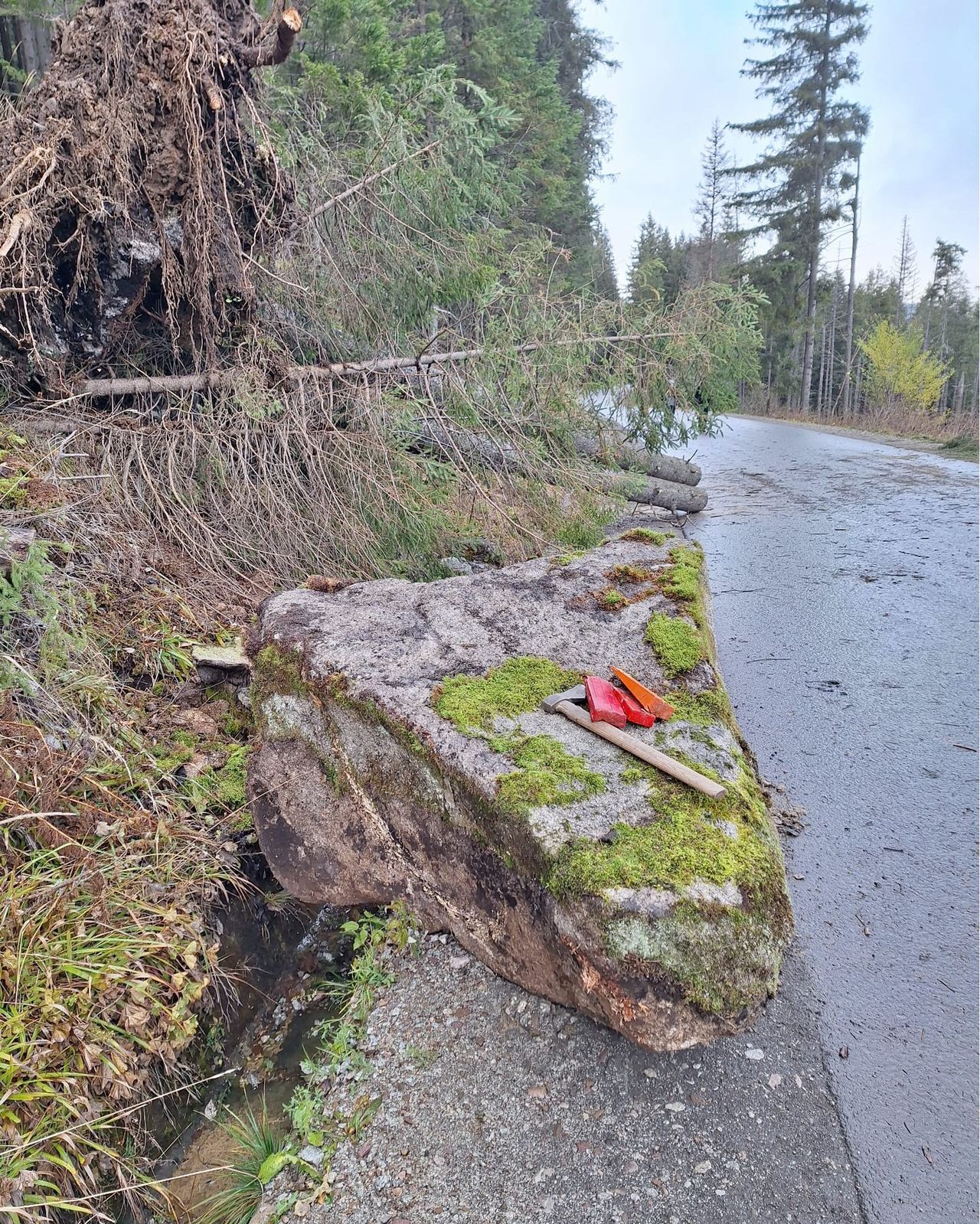 Dziś w Tatrach halny