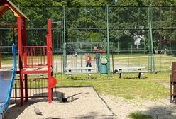 Wrocław. Dzieci chyba zapomniały, do czego są huśtawki. Puste place zabaw