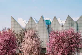 Pogoda w Szczecinie. Prognoza na poniedziałek 29 grudnia. Możliwa marznąca mżawka i oblodzenia