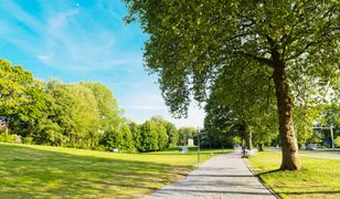 Pogoda na poniedziałek. Słoneczna aura i umiarkowane temperatury