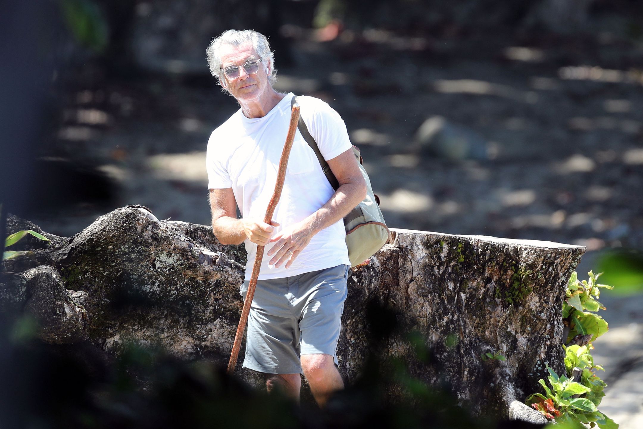 Pierce Brosnan