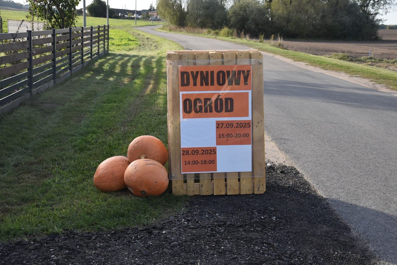 Kłodzin: Dyniowy Ogród - jesienny piknik dla każdego