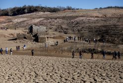 Klęska suszy w Hiszpanii. Producent wina wysyła pracowników "na wakacje"