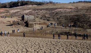 Klęska suszy w Hiszpanii. Producent wina wysyła pracowników "na wakacje"
